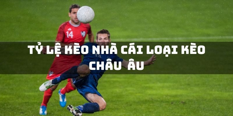 Khám Phá Tỷ Lệ Kèo Châu Âu - Chiến Lược Đỉnh Cao Trong Cược Thể Thao 2 ty le keo nha cai loai keo chau au - Gifyu